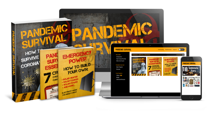 Pandemic Survival Review